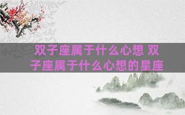 双子座属于什么心想 双子座属于什么心想的星座